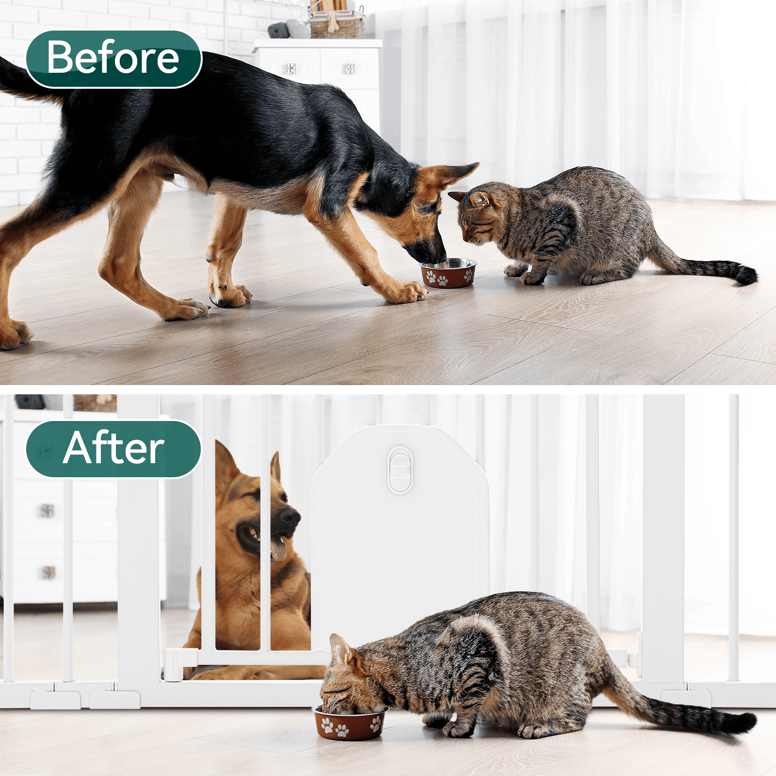 Babelio baby safety gate with lockable pet door separating dog and cat in living room