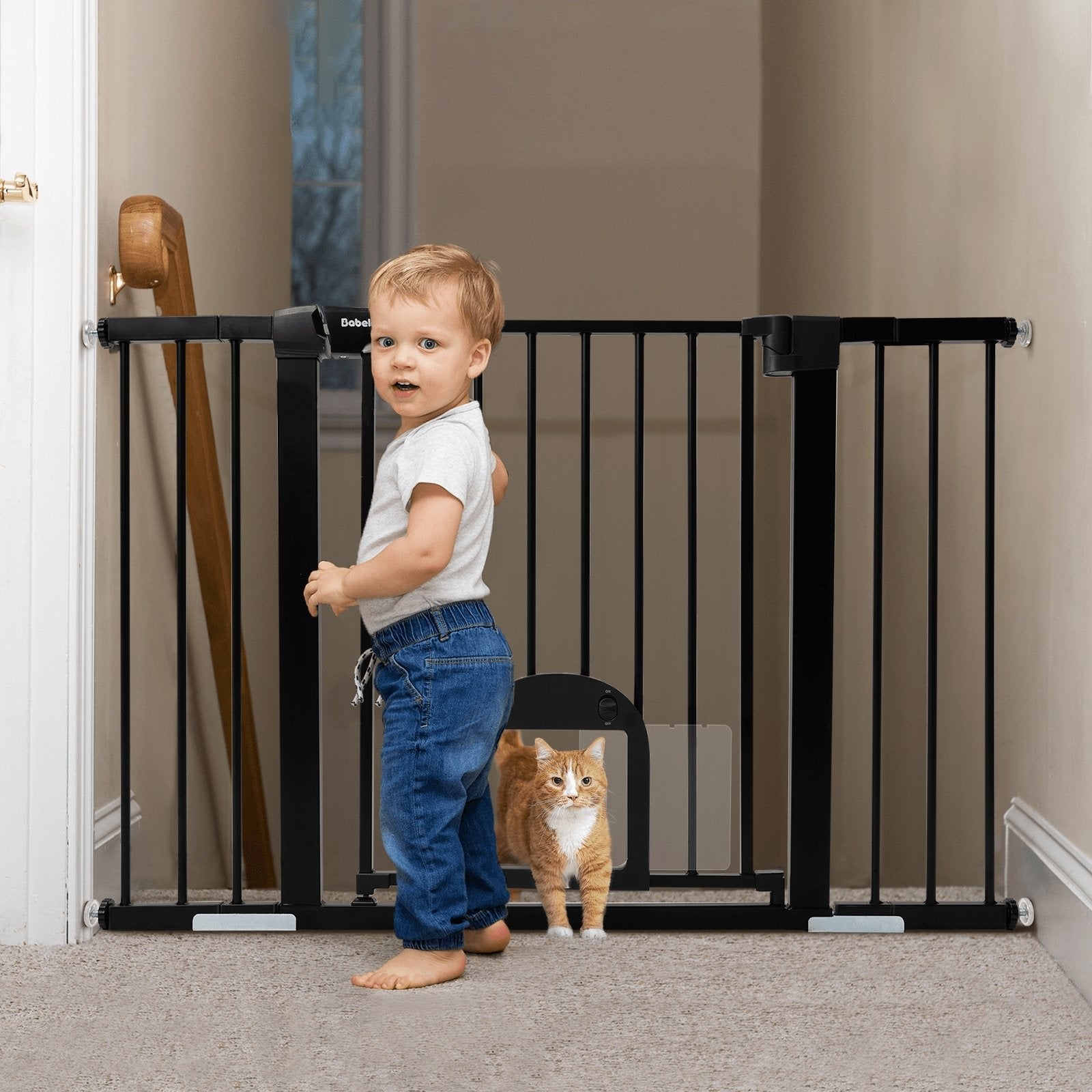Babelio baby safety gate installed in hallway with toddler and cat