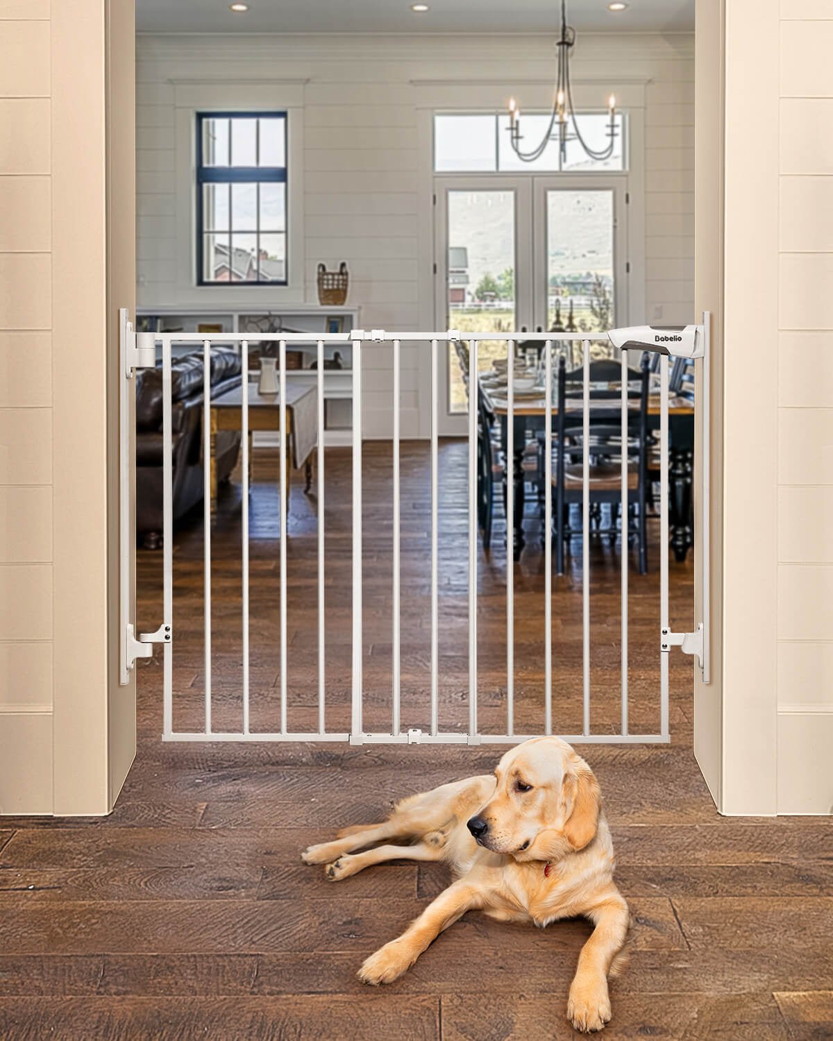Babelio baby safety gate installed in doorway of modern living and dining room, dog lying nearby