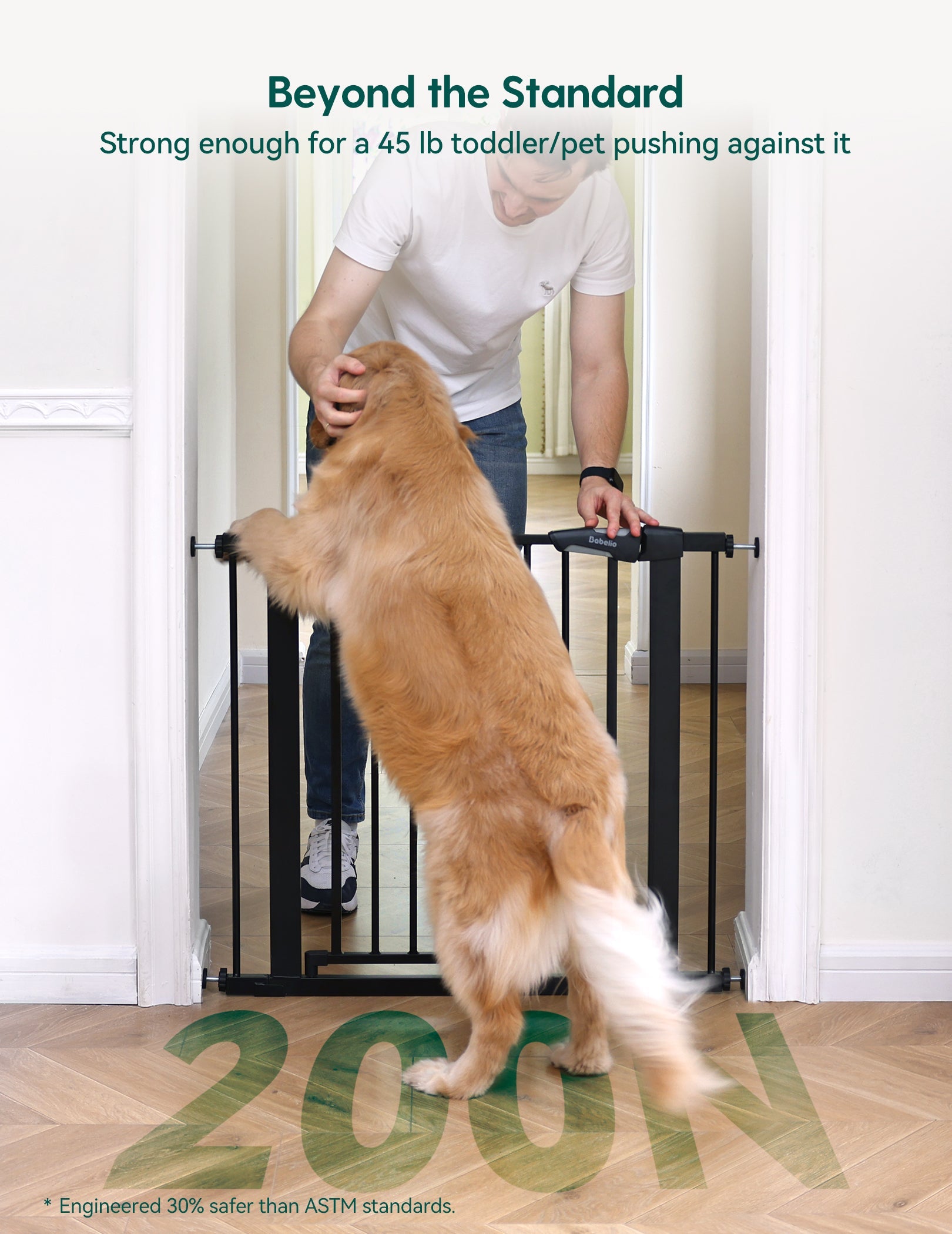 Babelio black baby safety gate installed in a hallway, blocking a large dog with an adult nearby.
#Black