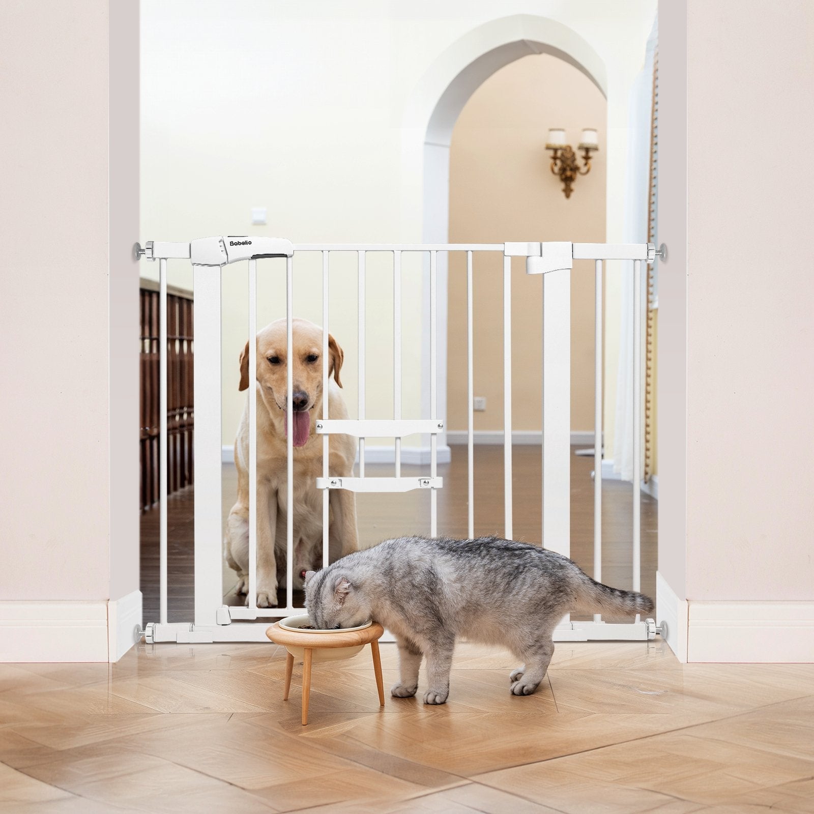 Babelio baby safety gate with adjustable cat door in a hallway, dog behind gate, cat eating.